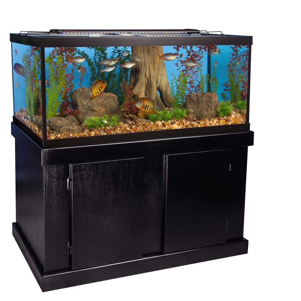 Majesty Aquarium Stand, Best 75 Arowana, Fish Tanks for sale